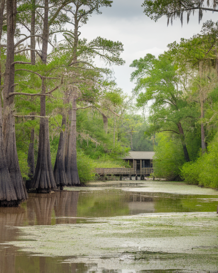 Survivre à la météo capricieuse de Louisiane : guide ultime