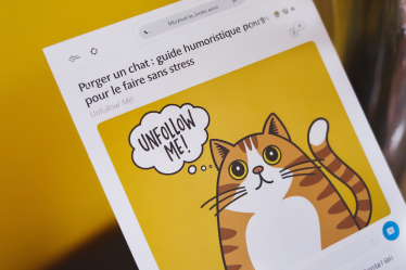 Purger un chat : guide humoristique pour le faire sans stress
